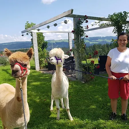 Gaestehaus Reichart Maison d'hôtes *