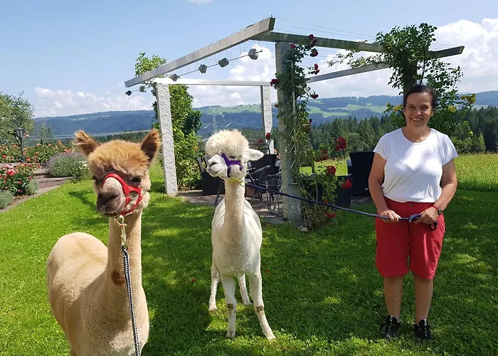 Gaestehaus Reichart Maison d'hôtes *